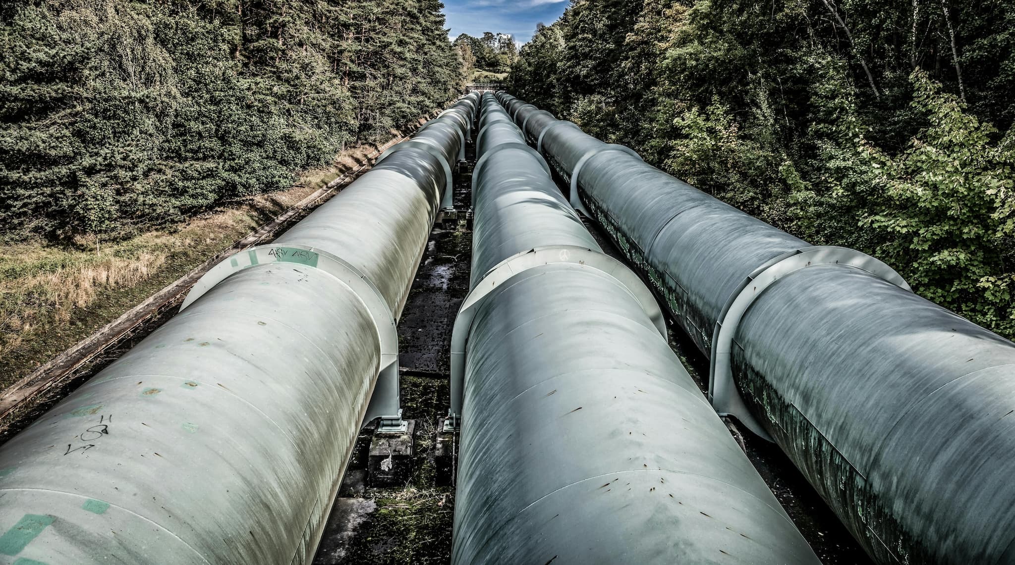 A set of metal pipelines in a forest