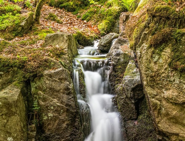 A small waterfall in a rocky part of a woodland. The waterfall has multiple levels.